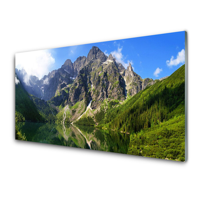 tatry-hory-morske-oko-les